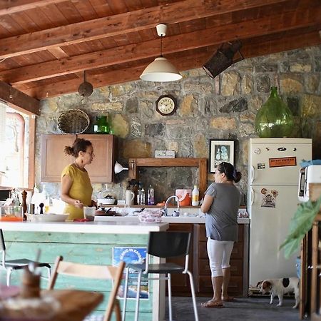 B&B Casa Dei Nonni 차리오 외부 사진